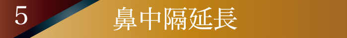 鼻中隔延長