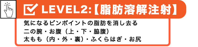 脂肪溶解注射